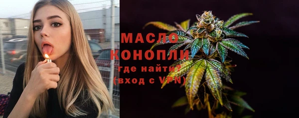 соль ск Бородино