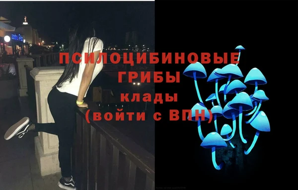 соль ск Бородино