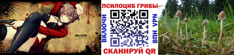 Псилоцибиновые грибы MAGIC MUSHROOMS  дарнет шоп  Мензелинск 